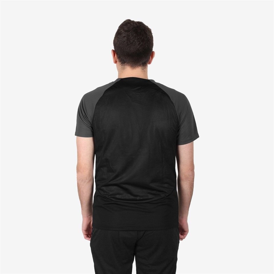 M NK DF ACDPR SS TOP K